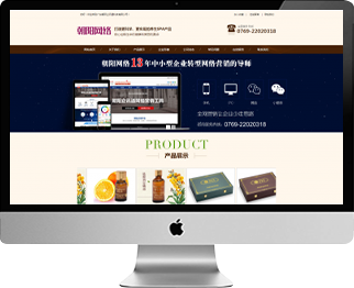 速成型網(wǎng)站標(biāo)準(zhǔn)版1